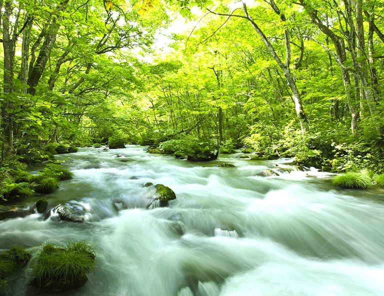 【東北星限定】奧入瀨溪．男鹿生鬼太鼓．雲昌寺紫陽花．銀山溫泉．內陸鐵道 5天