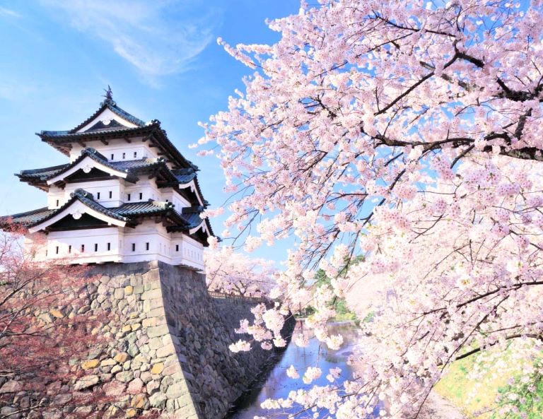 【東北櫻旅情】八幡平雪之迴廊．弘前城．北上展勝地．津輕櫻花鐵道．奧入瀨溪 5天