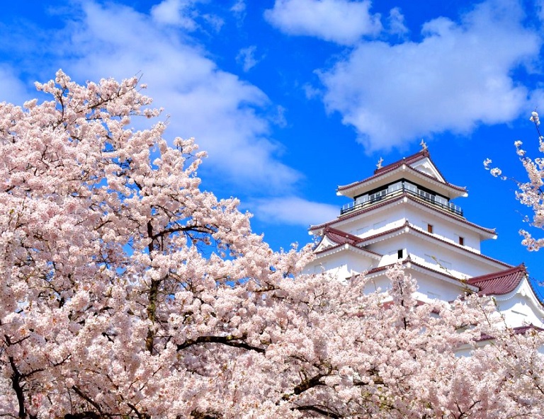 【東北櫻紀行】北上展勝地．銀山溫泉．山形櫻花鐵道．白石川堤．鶴之城櫻吹雪 5天