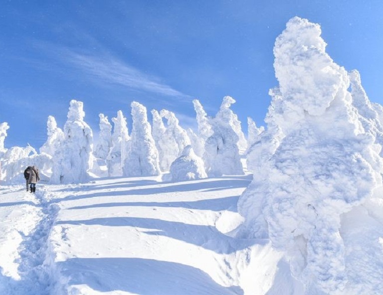 【星戀秋田】森吉山樹冰纜車．銀山溫泉．雪景內陸鐵道．採草莓．螃蟹吃到飽 4天