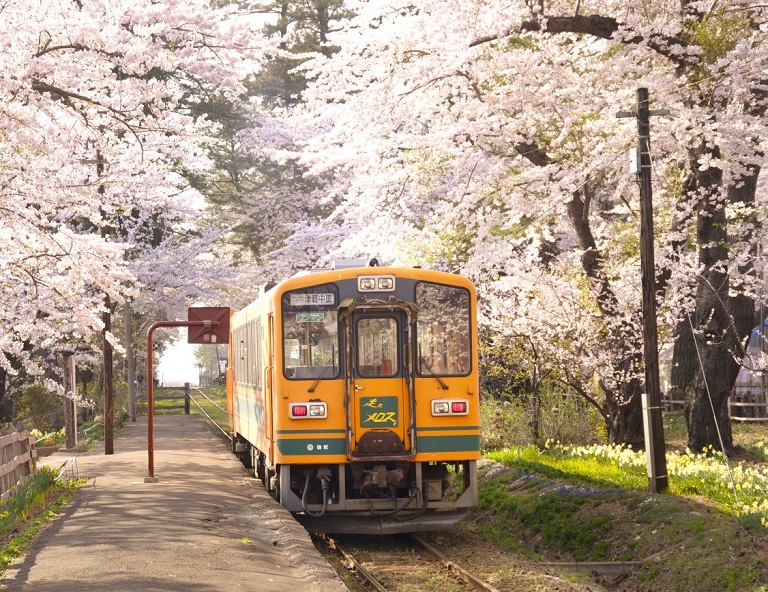 【花見東北．櫻漫漫】津輕櫻花鐵道．弘前城櫻吹雪．男鹿生鬼太鼓．角館枝垂櫻 5天