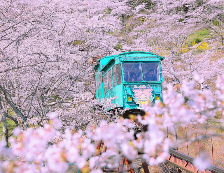 【東北花開時】白石川堤千本櫻．銀山溫泉．日中線垂櫻瀑布．山形櫻花鐵道 5天