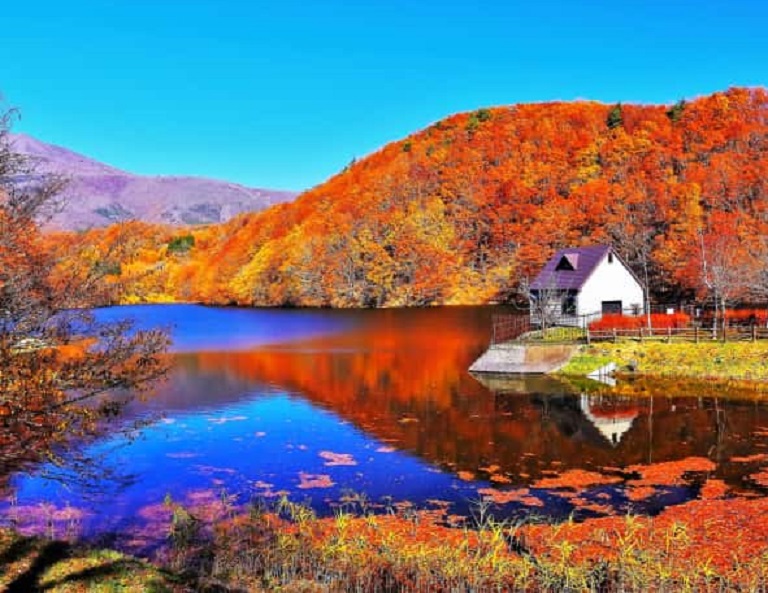 【東北楓秘境】楓紅天空步道．紅葉只見線．大內宿．海濱掃帚草．童話長老湖 5天