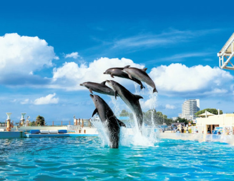 【沖繩超特惠】美麗海．海豚秀．玉泉洞．王國村大鼓秀．瀨長島．美國村 5天