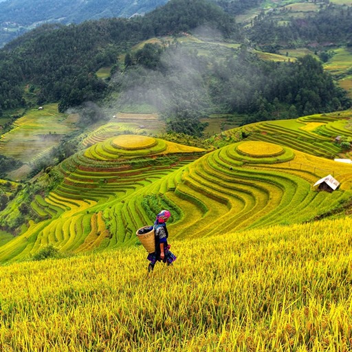 【絕美沙壩~夜臥火車】