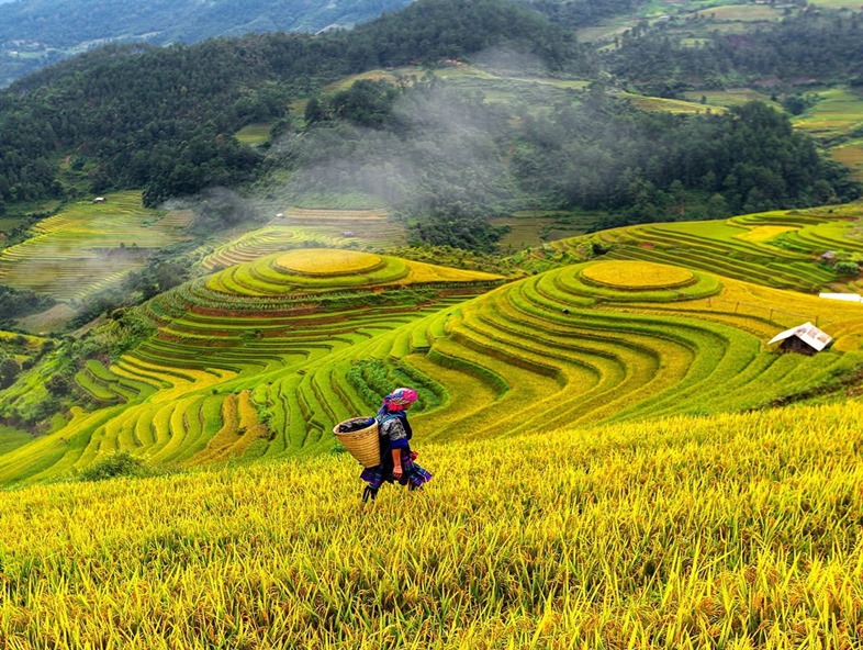 絕美沙壩~夜臥火車穿越雲海梯田與探秘民族村落．搭芒花列車傳奇纜車登頂列車．深訪番西邦山峰5日