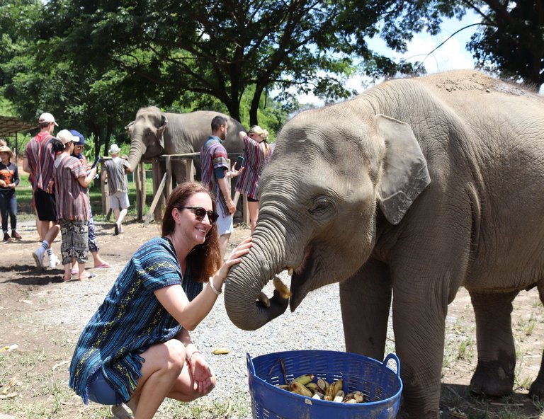 【親子邁遊】夜間動物園．泰山叢林滑翔．大象洗澡澡．森林美學莊園體驗5天(無購物)