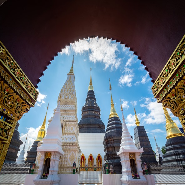 【完美邁動夜間動物園5天】