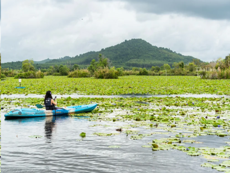 【泰國沙美島】奧普爾海灘浮游+曼芭五星．羅勇希爾頓．夜遊湄南河5天|長榮航空