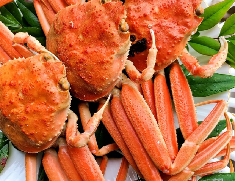 【九州星旅行】童話湯布院．角島大橋．元乃隅神社．最美宇佐神宮．溫泉泡湯 5天 6天