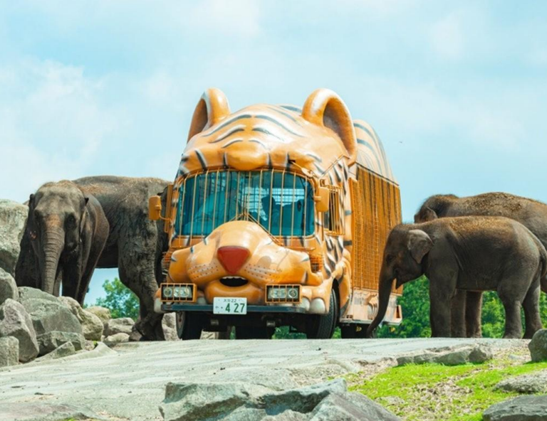 【九州賀新春】九州動物園．元乃隅稻成神社．熊本電鐵．採草莓．湯布院溫泉 5 天