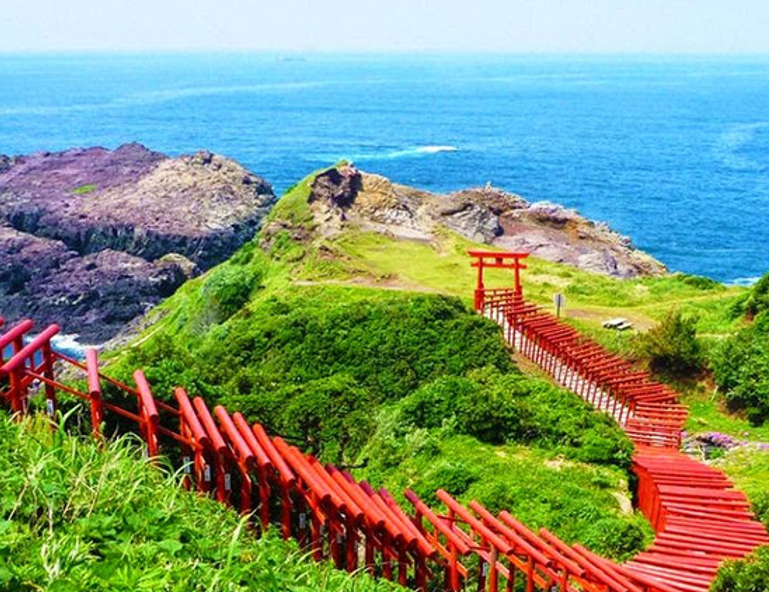 【九州賀新春】九州動物園．元乃隅稻成神社．熊本電鐵．採草莓．湯布院溫泉 5 天