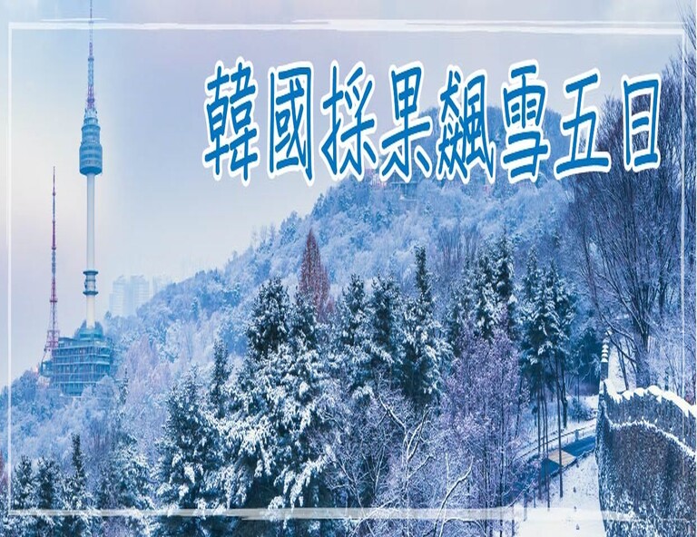 【My Korea．韓國採果飆雪】草莓採果樂、南怡島、滑雪趣、樂天世界5日