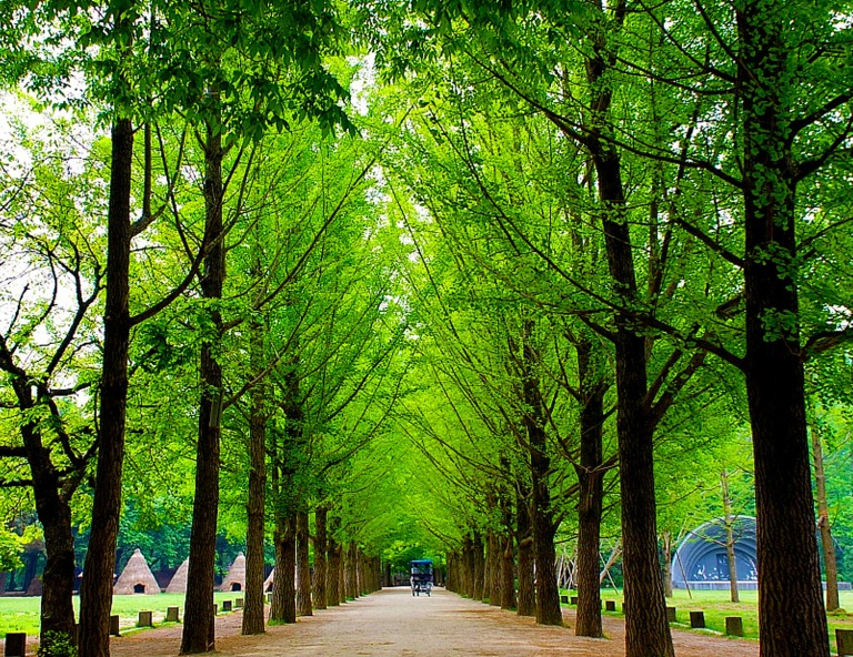【My Korea．童趣韓國】南怡島、星空圖書館、樂天世界、益善洞5天