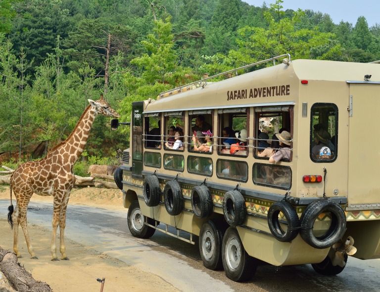 【My Korea．潮遊韓國】義王鐵道自行車、義王樂天、愛寶樂園、益善洞5天