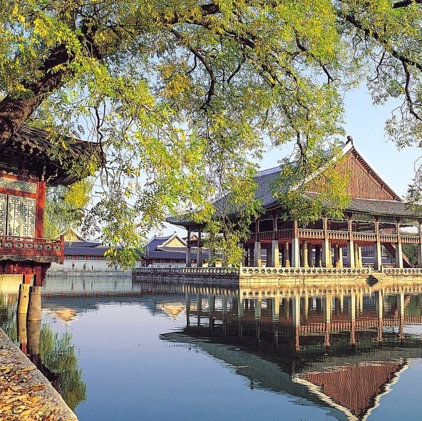 漫遊首爾．不走人蔘保肝