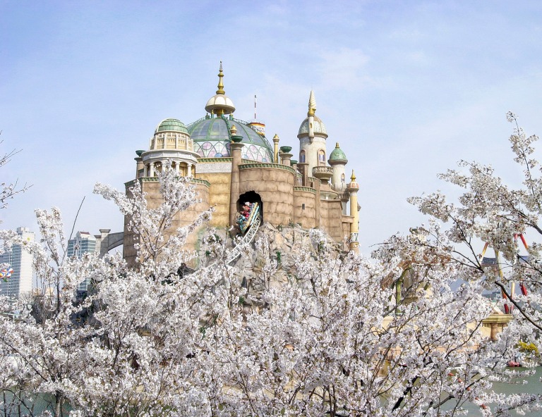 【首爾賞櫻】江村鐵道自行車．南怡島．良才川櫻花大道．樂天世界．汝矣島5天
