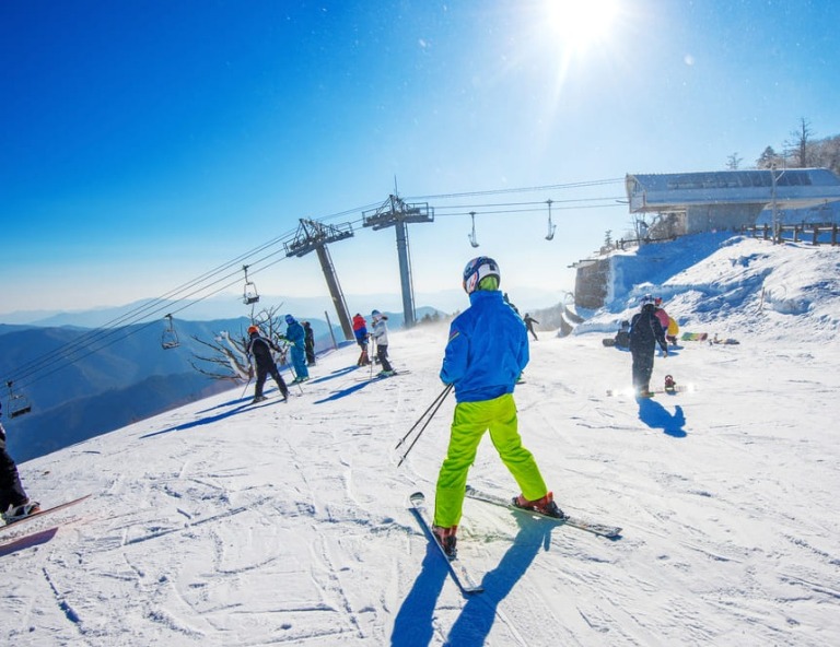 【絢麗釜山滑雪趣】伊甸園滑雪場、汗蒸幕、海岸列車、松島海上纜車、札嘎其海鮮市場5日(不進保肝)