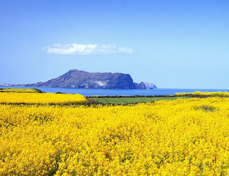 【暢遊濟州】彩虹海岸道路．ICE冰雕博物館．天帝淵瀑布．韓服體驗5天