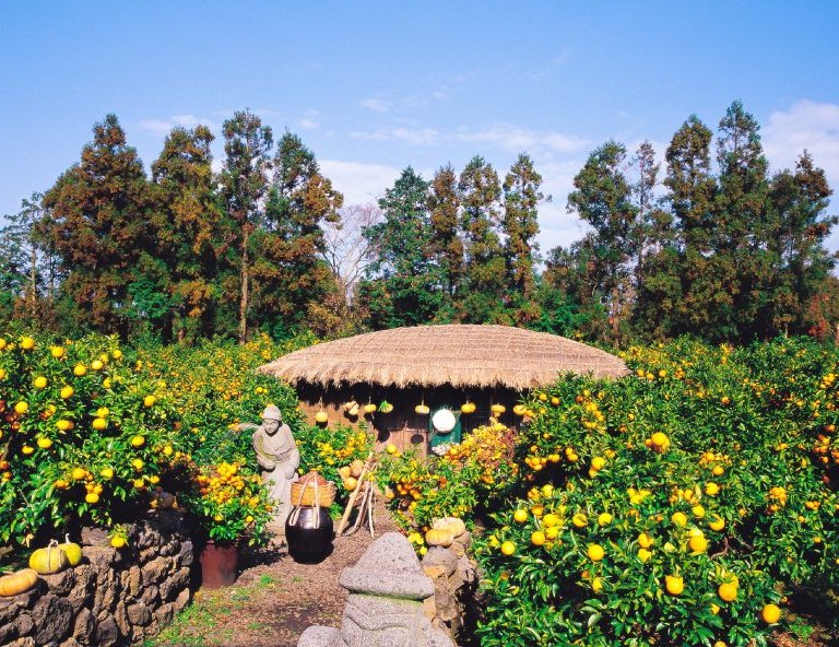 【易起遊濟州】汗蒸幕．泰迪熊野生動物王國．忘憂森林．城山日出峰．摩托車秀5天