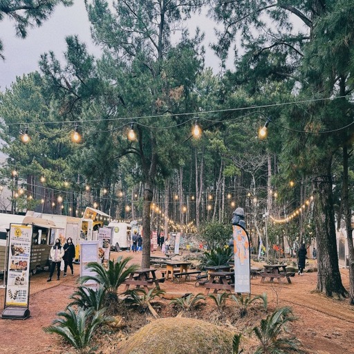 輕鬆遊濟．不進人蔘+保肝