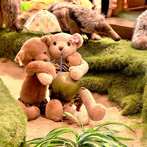 易起遊濟州．不進人蔘+保肝