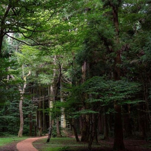 易起遊濟州．忘憂森林
