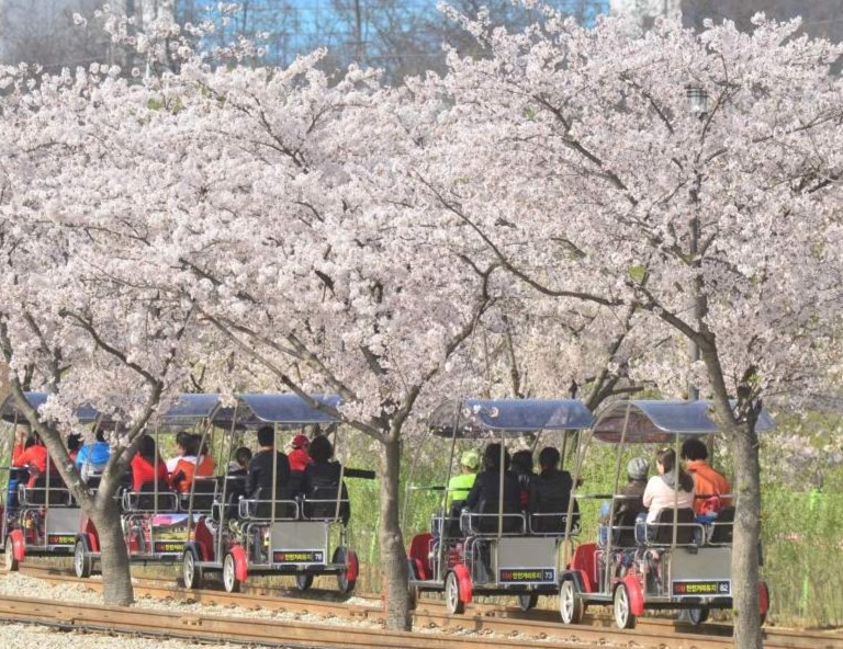 【易起粉櫻韓國】無心川櫻花路賞櫻．樂天世界．鐵道自行車．塗鴉秀5天
