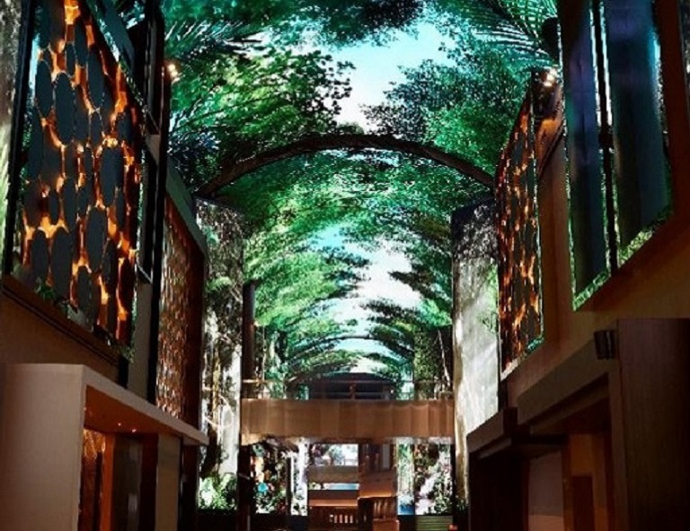 【My Korea 享趣遊韓國】南怡島．三岳山湖水纜車．金光水路．廣藏傳統市場5天