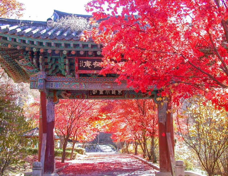 【My Korea逍遙賞楓】NARI公園+逍遙山+小法國村+昌德宮+塗鴉秀5天