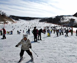 【高雄釜邱滑雪趣】伊甸園滑雪.E-WORLD樂園.美人魚秀.柿子酒隧道.採果樂6日