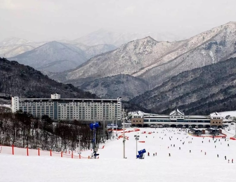 【釜邱滑雪趣】伊甸園滑雪.E-WORLD樂園.柿子酒隧道.海岸列車.網美咖啡廳.採果樂5日