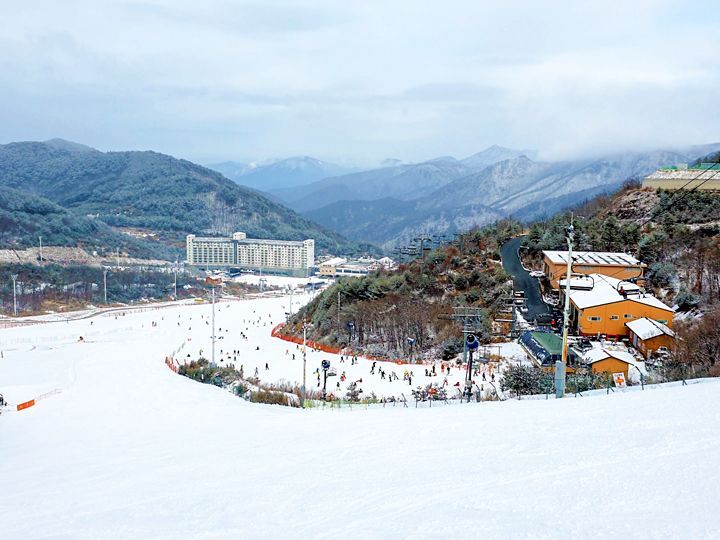 【釜蔚賀春趣】伊甸園滑雪．甘川洞．汗蒸幕．長腳蟹吃到飽5天(不進人蔘保肝)