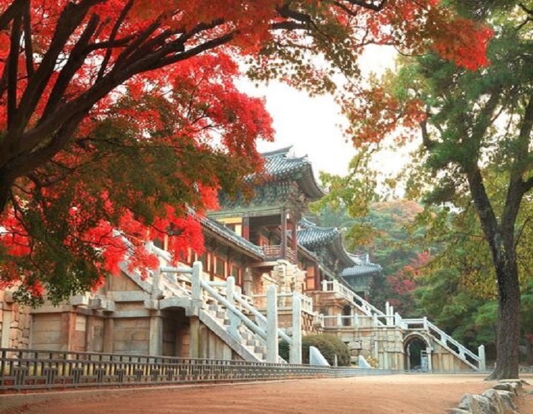 【漫遊楓紅釜山】佛國寺．統一殿前．松島海上纜車．海苔博物館．伽倻主題公園5天