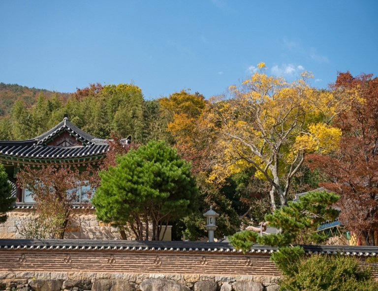 【楓趣釜山】梵魚寺賞楓．金剛公園賞楓．樂天世界．海上纜車．甘川洞文化村5天