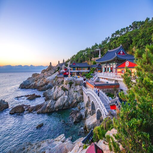 釜邱雙城5天．不進人蔘保肝