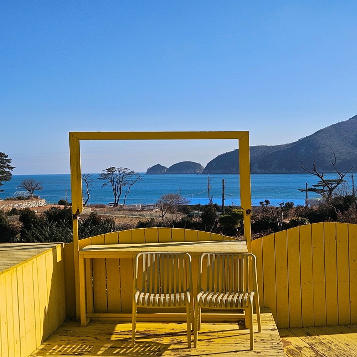 釜山巨濟採果5天．不進人蔘保肝