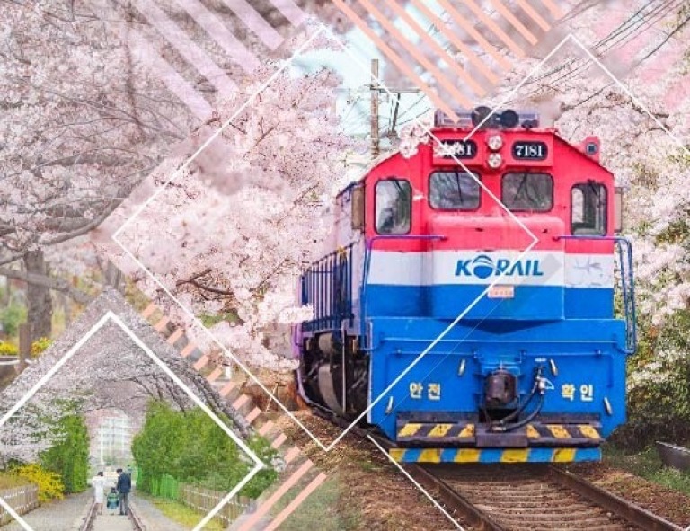 【小資玩釜蔚】渠道滑車．海岸列車．天空步道．樂天世界樂園5天