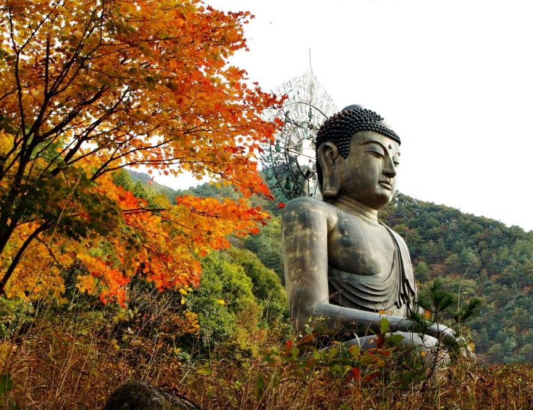 【秋賞楓葉銀杏芒草】雪嶽山、龍門寺、人氣咖啡廳、草泥馬樂園、韓服遊古宮5天