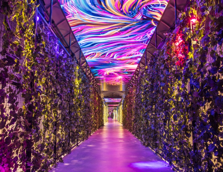 【韓國清州】丹陽垂楊介光之隧道．丹陽古藪洞窟．島潭三峰5天