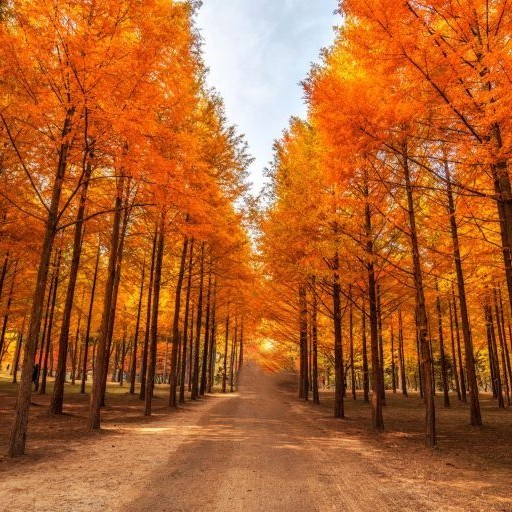 【My Korea 愛戀韓楓】5天