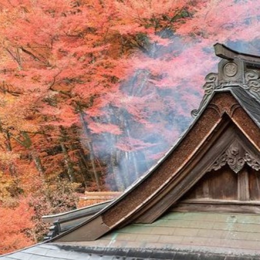 秋季早鳥·山陰山陽賞楓趣