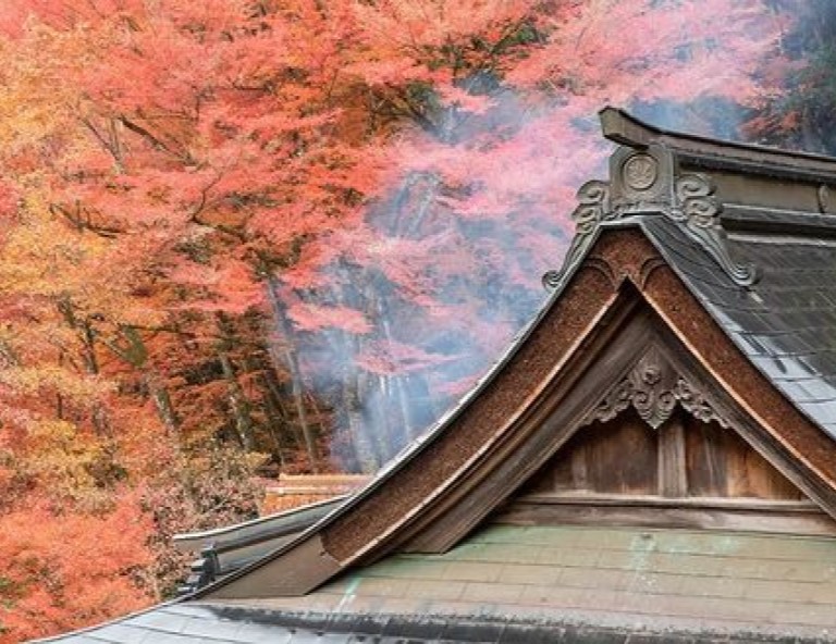 【楓迷山陰】紅葉神社．出雲大社．鳥取砂丘．足立美術館．松江遊船．名湯溫泉4天