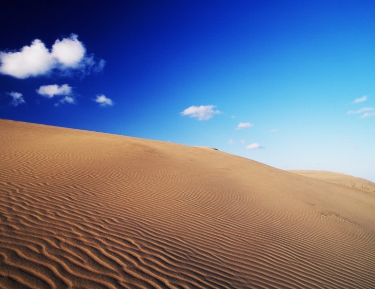 【神話山陰山陽】鳥取砂丘．倉敷美觀．白兔神社．姬路城．伊根遊船．名湯溫泉5天