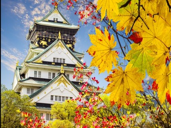 【173WIFI】日本 實體SIM卡吃到飽