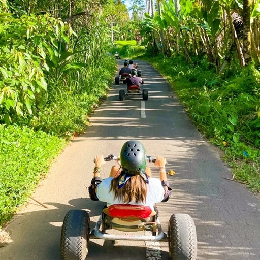 【叢林冒險峇里島】跑跑卡丁車