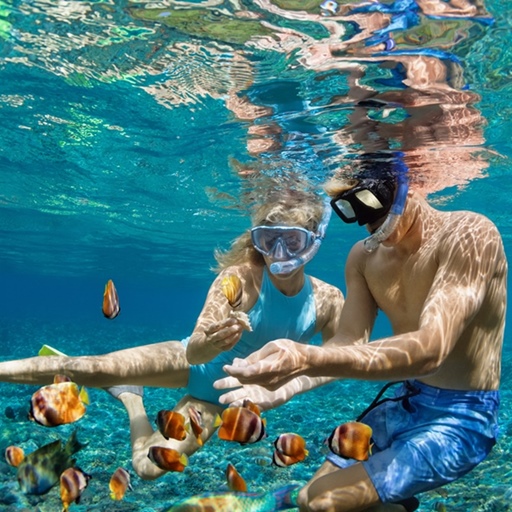 【超值峇里島】贈送導遊小費