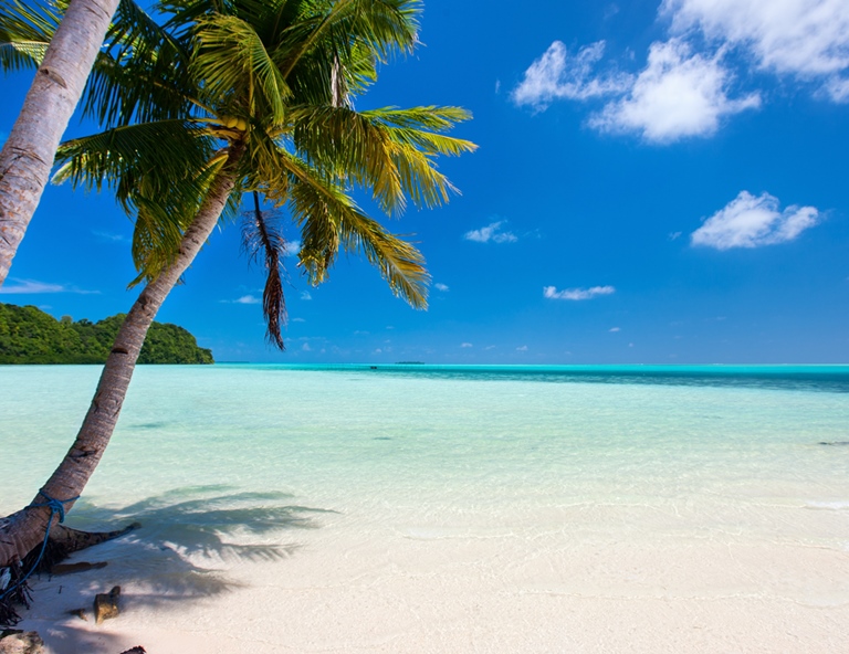 【海洋帛覽會5天】全包式度假，每週四六華航直飛