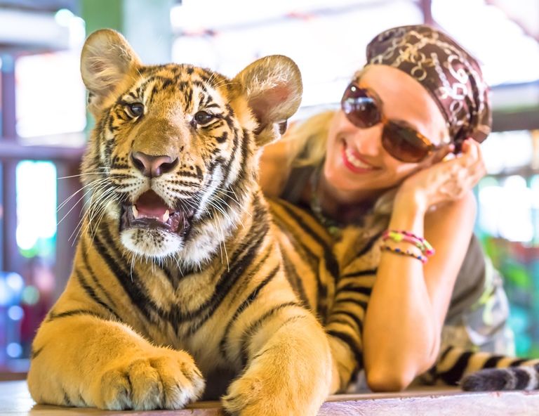 【虎哩普吉｜星級饗宴5天】虎哩拍照、皇室泰服體驗